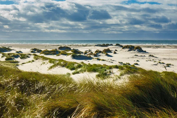 Dunes on the North Sea island Amrum, Germany — Stock Photo, Image