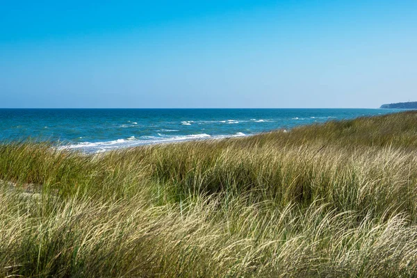 Dune on shore of the Baltic Sea — Stock Photo, Image