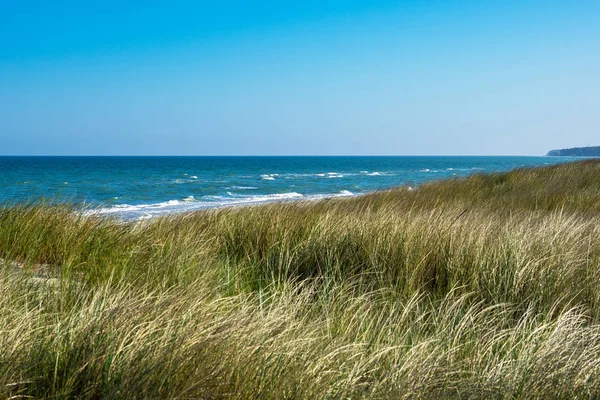 Dune au bord de la mer Baltique — Photo