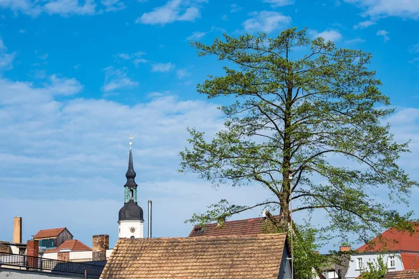 Igreja com árvores e telhados em Luebbenau, Alemanha — Fotografia de Stock