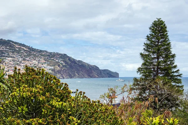 Widok na miasto Funchal na Maderze, Portugalia — Zdjęcie stockowe