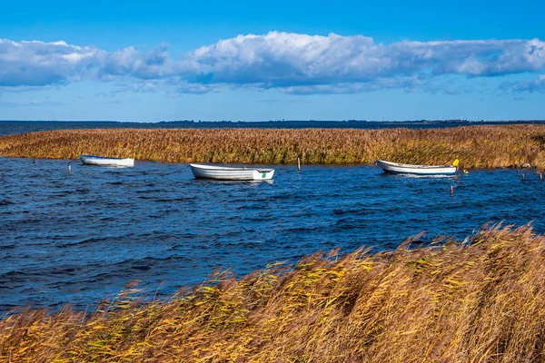 Lodě a rákosí na ostrově Moen v Baltském moři v Dánsku — Stock fotografie