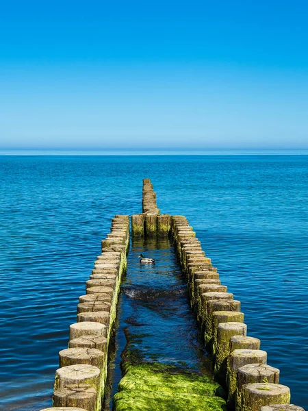 Groyne Στην Ακτή Της Βαλτικής Θάλασσας — Φωτογραφία Αρχείου