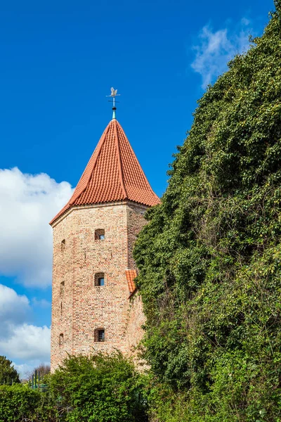 Widok Zabytkową Wieżę Rostocku Niemcy — Zdjęcie stockowe