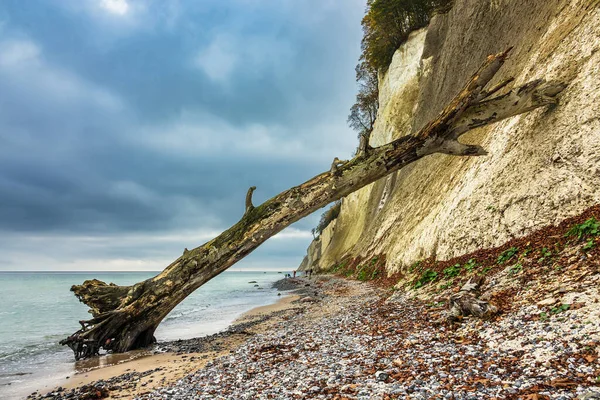 Costa Del Mar Báltico Isla Ruegen Alemania — Foto de Stock