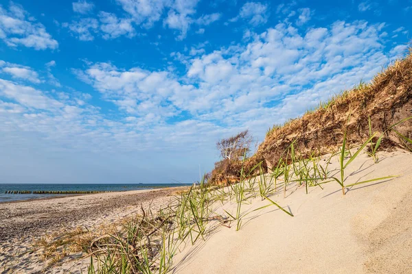 Landschaft Der Ostsee Graal Müritz Deutschland — Stockfoto