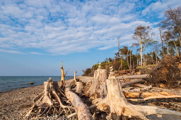 Paisaje Orilla Del Mar Báltico Graal Mueritz Alemania — Foto de Stock