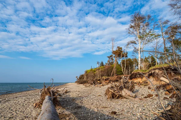 Landskap Vid Östersjön Graal Mueritz Tyskland — Stockfoto