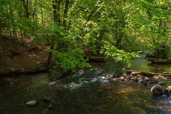 Krajina Ulicemi Stromy Blízkosti Kuchelmiss Německo — Stock fotografie