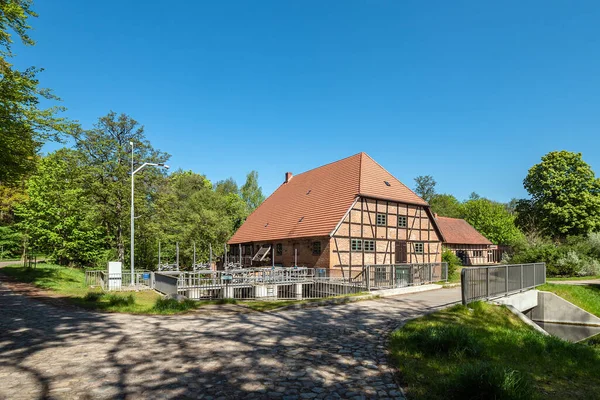 Paesaggio Con Strada Alberi Vicino Kuchelmiss Germania — Foto Stock