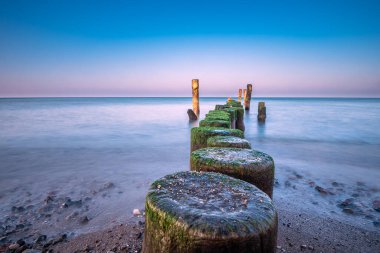 Groyne Baltık Denizi kıyısında Graal Mueritz, Almanya.