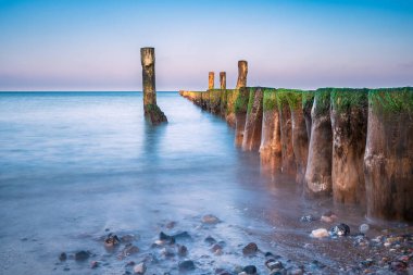 Groyne Baltık Denizi kıyısında Graal Mueritz, Almanya.