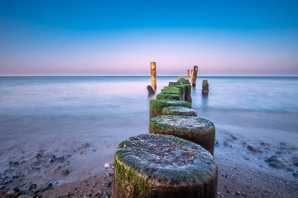 Groyne Itämeren Rannalla Graal Mueritzissa Saksassa — kuvapankkivalokuva