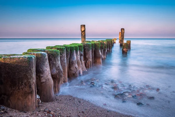 Groyne Wybrzeżu Morza Bałtyckiego Graal Mueritz Niemcy — Zdjęcie stockowe