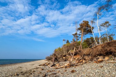 Graal Mueritz, Almanya 'da Baltık Denizi kıyısında manzara.