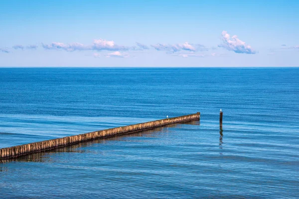 Groyne Costa Mar Báltico Nienhagen Alemanha — Fotografia de Stock