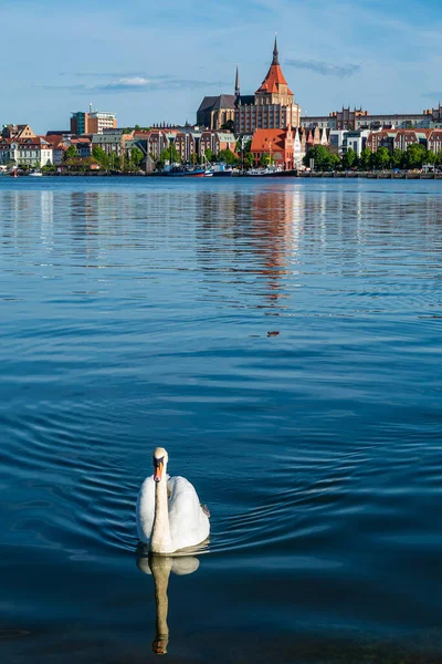 Vista Sobre Río Warnow Ciudad Hanseática Rostock Alemania —  Fotos de Stock