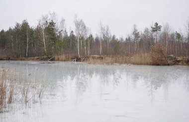 Erime göle yansıyan ağaçlar