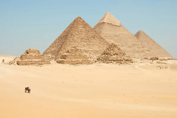 Wózki konne w pobliżu piramid w Gizie. Khufu, Khafre, Menkaure i — Zdjęcie stockowe