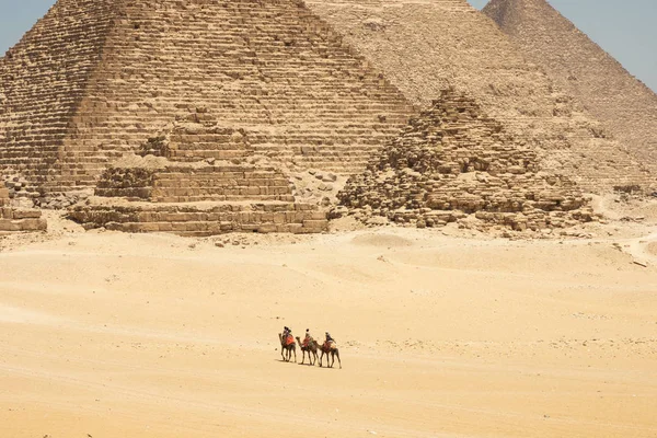 Turistas en camellos están viendo pirámides de Giza —  Fotos de Stock