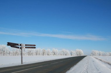 Noel süslemeli Noel ağacı