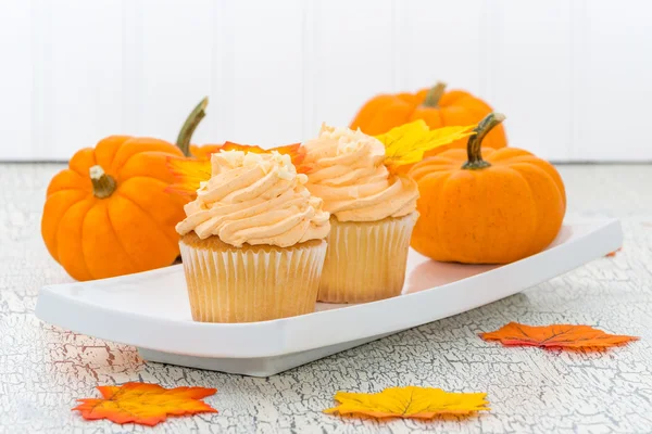 Muffins y calabazas — Foto de Stock