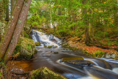 Potts Falls Güz