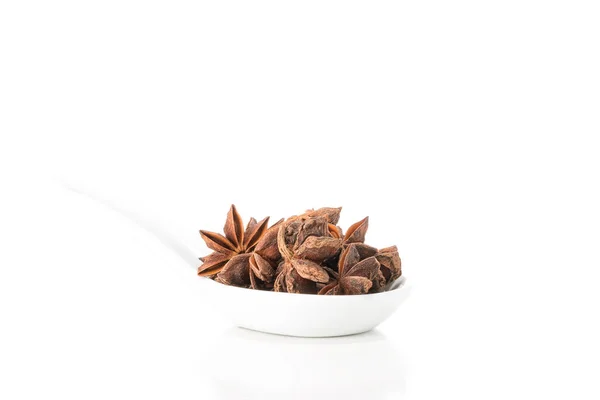 Star of Anise — Stock Photo, Image