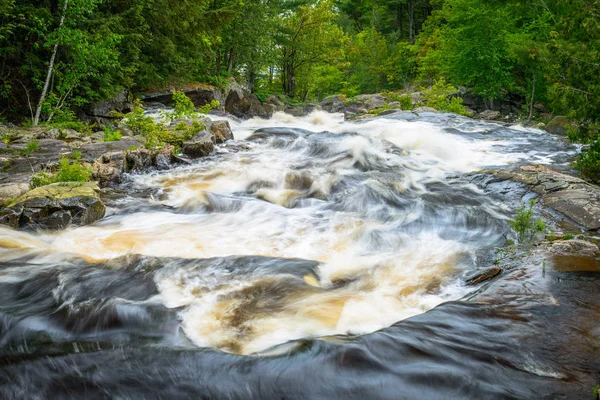 Rosseau Falls-alt — Stok fotoğraf