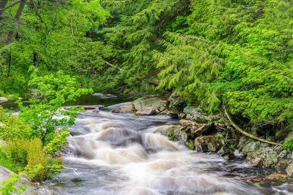 Escena del río Rosseau — Foto de Stock