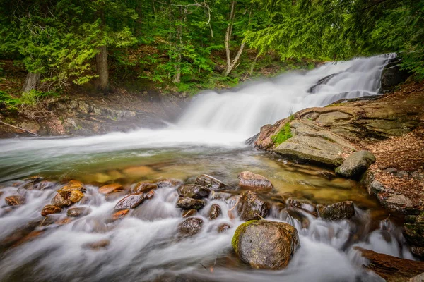 Fish Hatchery Falls Canada — Stock Photo, Image