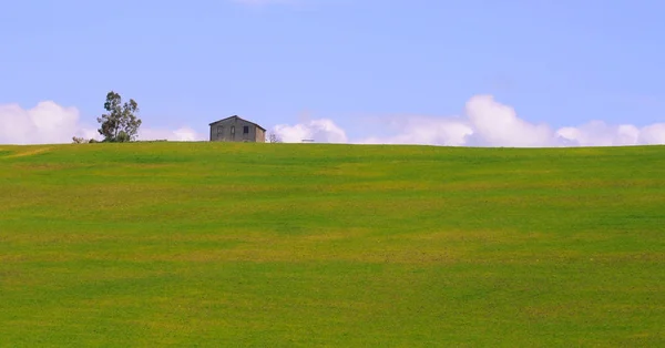 Fienile e albero in primavera — Foto Stock