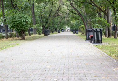 Ağaçları ve bankları olan güzel, taze yeşil bir park bahçesi..