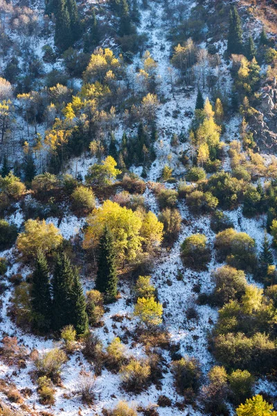 Осеннее фото после снегопада, горного озера "Иссык" " — стоковое фото