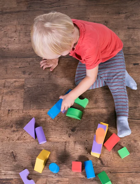 Little Boy Playing Building Blocks — Stock Photo, Image
