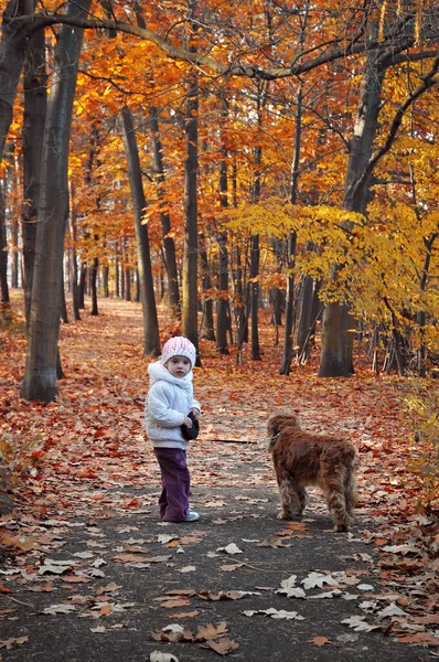 少女と彼女の犬 ストック写真