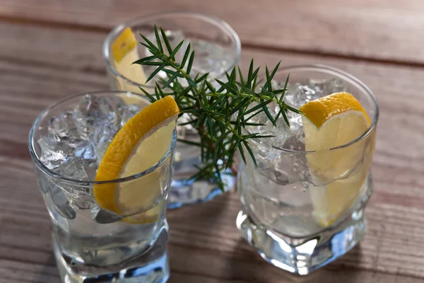 Gin con limone e rametti di ginepro — Foto Stock