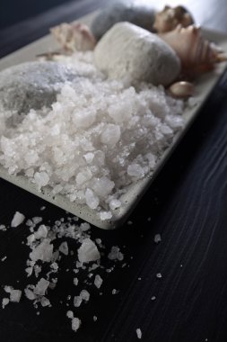 Taşlar ve kabukları ile deniz tuzu