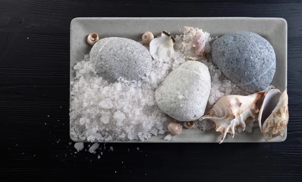 Sal marina con piedras y conchas — Foto de Stock