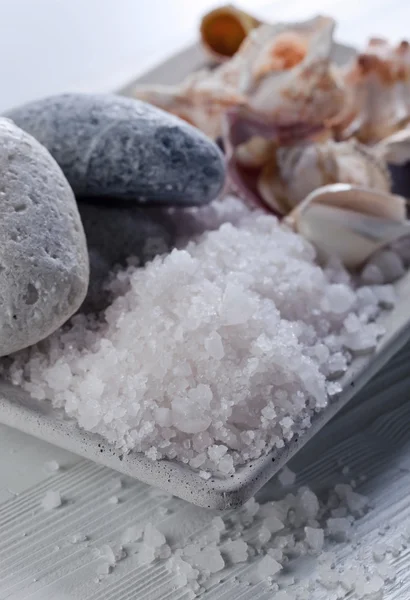 Sea salt  with stones and shells — Stock Photo, Image