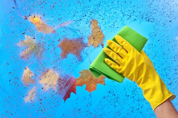 在清洗窗口在蓝蓝的天空背景上的橡胶手套的手 — 图库照片