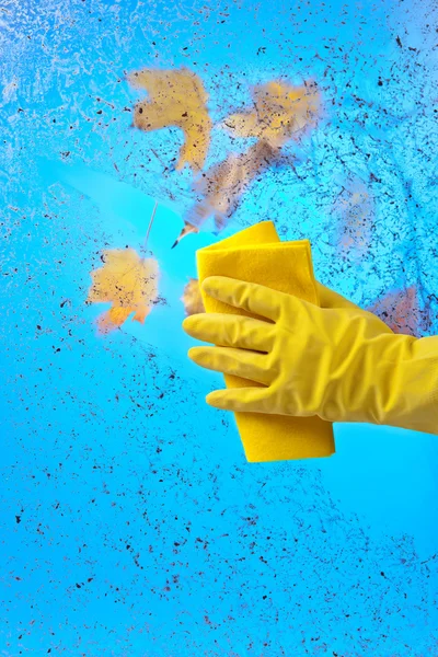 Mano en guante de goma ventana de limpieza sobre un fondo de cielo azul —  Fotos de Stock