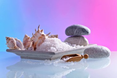 Taşlar ve kabukları ile deniz tuzu 