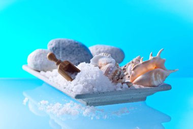 Taşlar ve kabukları ile deniz tuzu 