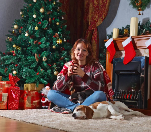 クリスマスの装飾が付いている部屋で犬を持つ女性 — ストック写真