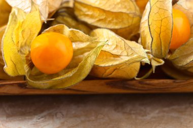 Physalis kahverengi bir tablo