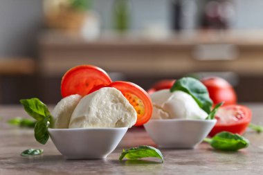  Domates ve fesleğenli mozzarella 