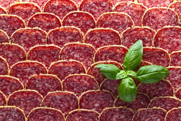 Salami sausage slices with green basil — Stock Photo, Image