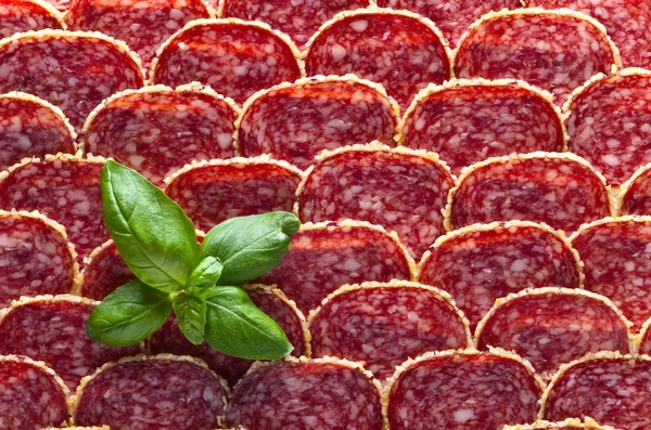 Salami sausage slices — Stock Photo, Image