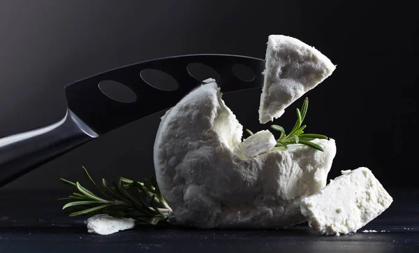 Formaggio di capra fresco fatto in casa con rosmarino — Foto Stock